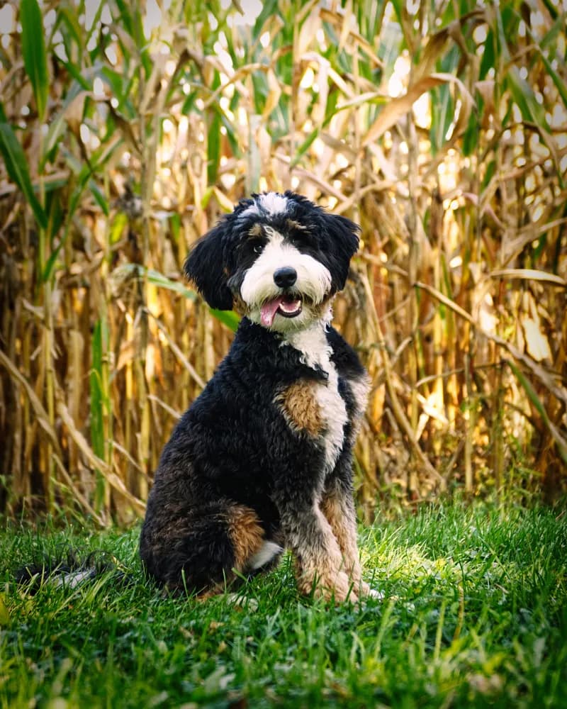 Kwaak Photography studio in Georgetown