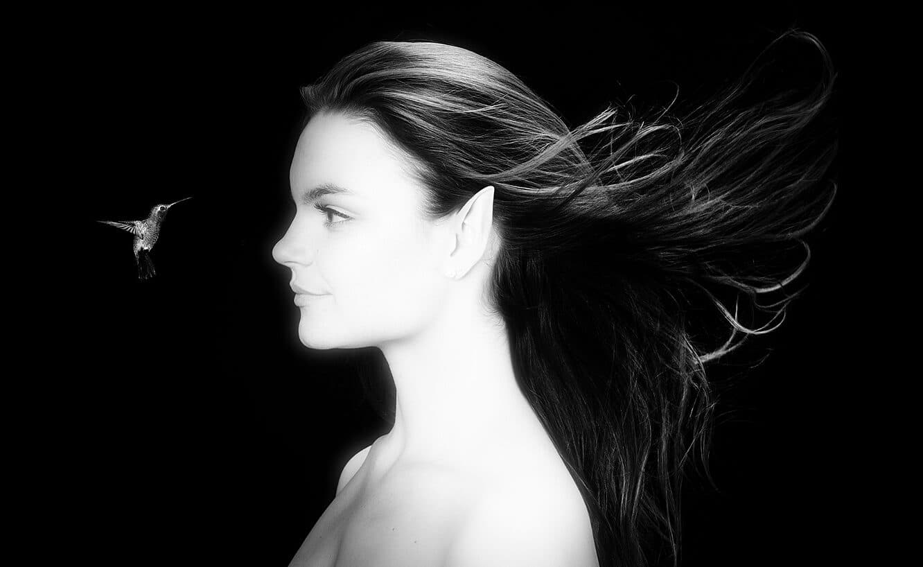 Fine art portrait with hummingbird by Kwaak Photography in Georgetown Ontario