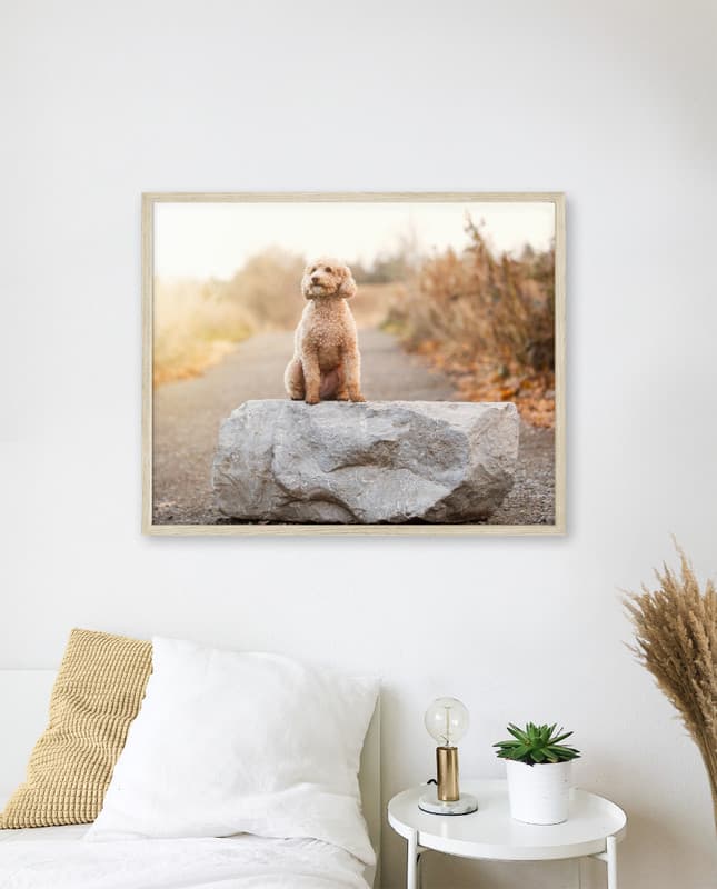 Single Heirloom Portrait by Kwaak Photography