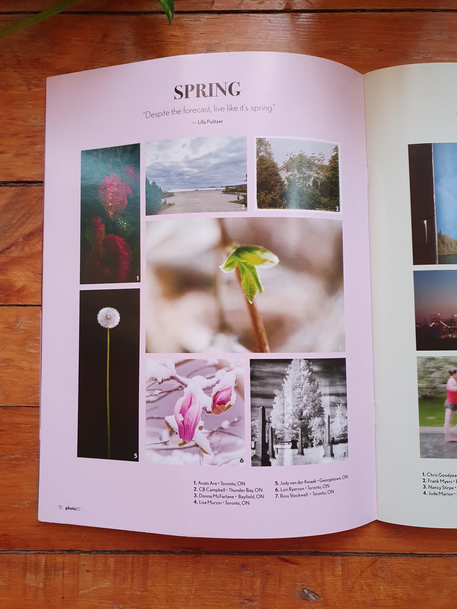 My photograph Dandelion featured in the PhotoEd print edition